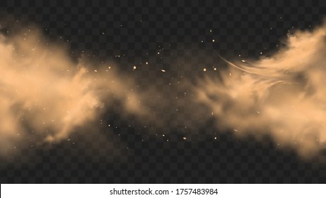 Dust sand cloud with stones and flying dusty particles isolated on transparent background. Desert sandstorm. Realistic vector illustration