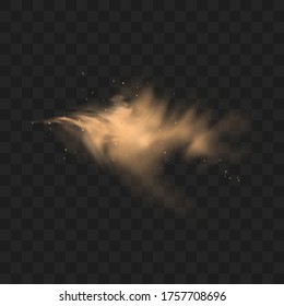Dust sand cloud with stones and flying dusty particles isolated on transparent background. Desert sandstorm. Realistic vector illustration