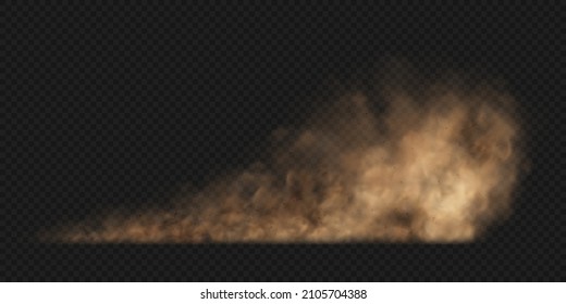 Dust sand cloud with stones and flying dusty particles isolated on transparent background. Brown dusty cloud or dry sand flying. Realistic vector illustration