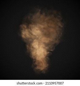 Dust sand cloud with stones and flying dusty particles isolated on transparent background. Brown dusty cloud or dry sand flying. Realistic vector illustration