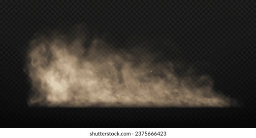 Dust sand cloud with stones and flying dusty particles isolated on transparent background. Dusty cloud or dry sand flying. Realistic vector illustration.