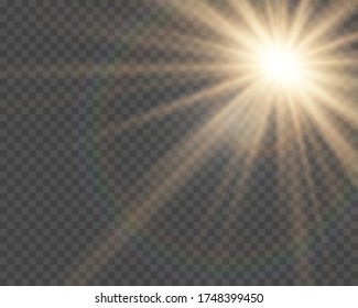 The dust sparks and golden stars shine with special light. Vector sparkles on a transparent background. Christmas light effect. Sparkling magical dust particles interior stock vector