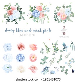 Dusty blue, blush pinkand coral rose, white hydrangea, peachy ranunculus, anemone flowers, sage greenery and eucalyptus, juniper big vector set.Trendy pastel color collection. Isolated and editable