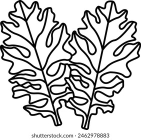 Dusty Miler Leaf outline icon vector illustration