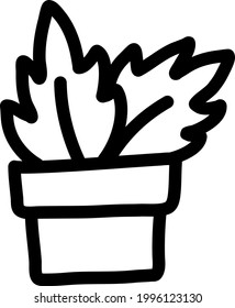 Dusty miller flower in pot, illustration, on a white background.