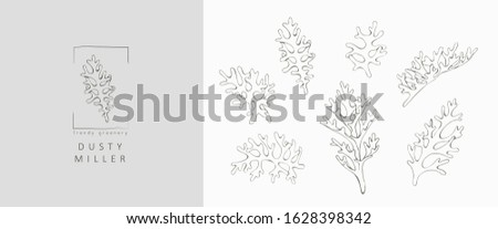 Dusty miller plant logo and branch. Hand drawn wedding herb, plant and monogram with elegant leaves for invitation save the date card design. Botanical rustic trendy greenery vector illustration