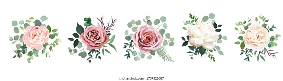 Dusty pink blush, white and creamy rose flowers vector design wedding bouquets. Eucalyptus, greenery. Floral pastel watercolor style. Blooming spring floral card. Elements are isolated and editable