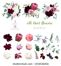 Dusty pink and creamy rose, coral dahlia, burgundy and white peony flowers, cymbidium orchid, pink camellia, eucalyptus, greenery, berry, marsala astilbe big vector collection. Isolated and editable