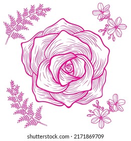 Dusty pink , white and creamy rose flowers vector design wedding bouquets