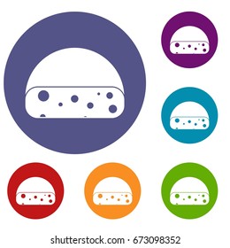Dutch cheese icons set in flat circle reb, blue and green color for web