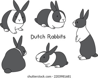 Dutch rabbit has 5 different poses.