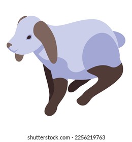 Dutch rabbit icon isometric vector. Pet animal. Cute mammal