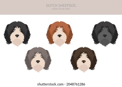 Dutch sheepdog Schapendoes clipart. Different poses, coat colors set.  Vector illustration
