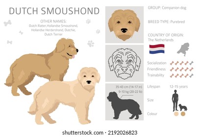 Dutch Smoushond clipart. Different poses, coat colors set.  Vector illustration