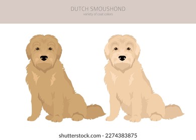 Dutch Smoushond clipart. Different poses, coat colors set.  Vector illustration