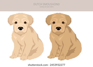 Dutch Smoushond puppy clipart. Different poses, coat colors set.  Vector illustration