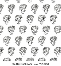 Dutchman's Pipe Cactus flower Seamless Pattern Hand drawn vector line art, Black and White Flower isolated in white.  Beautiful design for textile, wallpaper, wrapping paper and backgrounds
