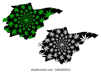 Duzce (Provinces of the Republic of Turkey) map is designed cannabis leaf green and black, Düzce ili map made of marijuana (marihuana,THC) foliage,