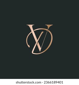 DV VD logo design. Vector illustration.