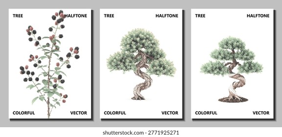 dwarf bonsai tree juniper set in pop art halftone vector collection isolated for asian zen