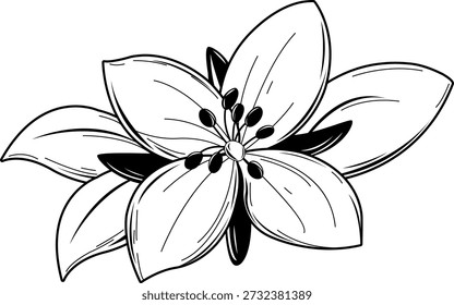 Zwergfeuerweed, Skizzensymbol Schwarz-Weiß. Chameron latifolium. Nationale Blume Grönlands. Hübsche Blüte, Fluss Schönheit Weide Kraut arktische Blume in Zweig mit Blättern. Botanische handgezeichnete Vektorgrafik