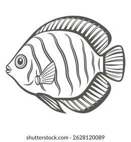 Zwerg Gourami Fisch Vektorgrafik Umriss