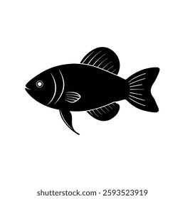 Dwarf Gourami Silhouette Vector and Black Dwarf Gourami Fish Illustration Art Design
