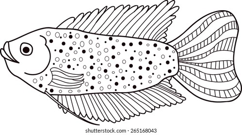 Dwarf Gourami Images, Stock Photos & Vectors | Shutterstock