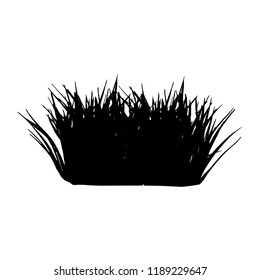 Dwarf hair grass silhouette on white background