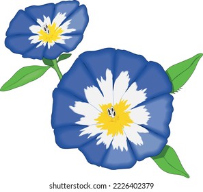 Ilustración del vector de gloria de la mañana del enano