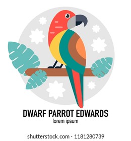 Dwarf Parrot Edwards bird vector flat illustration with leaves