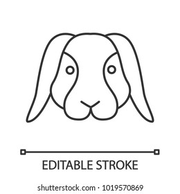 Dwarf rabbit linear icon. Thin line illustration. Bunny. Hare. Contour symbol. Vector isolated outline drawing. Editable stroke