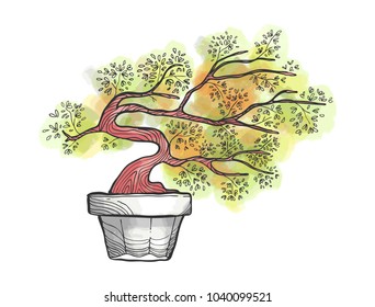 Dwarf tree sketch