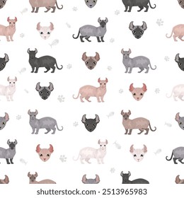 Dwelf Cat clipart. Alle Fellfarben eingestellt.  Alle Katze Rassen Merkmale Infografik. Vektorgrafik