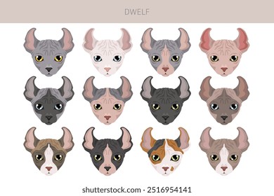 Dwelf Cat clipart. Alle Fellfarben eingestellt.  Alle Katze Rassen Merkmale Infografik. Vektorgrafik