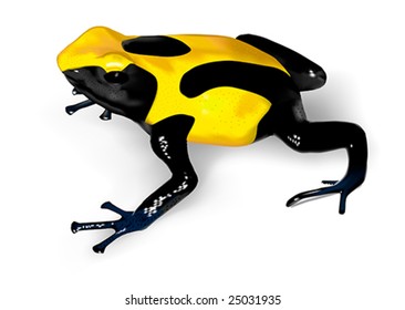 Dyeing Poison-Dart Frog (Dendrobates tinctorius) - vector illustration