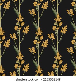 Dyers woad, or glastum (Isatis tinctoria), medicinal plant.Seamless vector vintage floral pattern for gift wrap, fabric, cover and interior design with flowers.