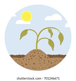 dying plant flat design icon