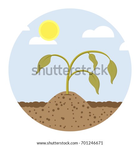 dying plant flat design icon