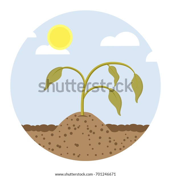 dying plant flat design\
icon
