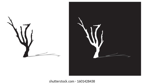 Dying tree in Africa with shadow
