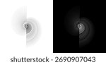 Dynamic abstract spiral sound wave rhythm lines. Circular spiral sound wave rhythm of lines. Circular futuristic abstract lines, black and white background.	