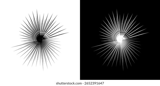 Dynamische abstrakte Spiral-Schallwellen-Rhythmuslinien. Kreisförmige Spirale Schallwelle Rhythmus von Linien. Zirkuläre futuristische abstrakte Linien, schwarz-weißer Hintergrund.	