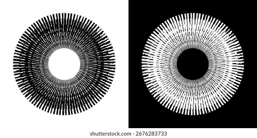 Dynamic abstract spiral sound wave rhythm lines. Circular spiral sound wave rhythm of lines. Circular futuristic abstract lines, black and white background.	
