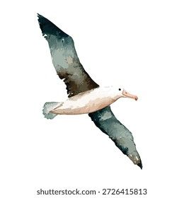 Dynamischer Albatross-Vogel in anmutigem Flug, eine atemberaubende Vektorgrafik für Tierwelt, Ozean und Reisethemen.