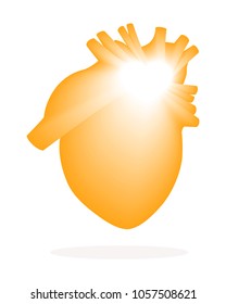 Dynamic anatomical image of a person's heart is orange. Vector. Isolated on white background