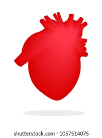 Dynamic anatomical image of a person's heart is red. Vector. Isolated on white background