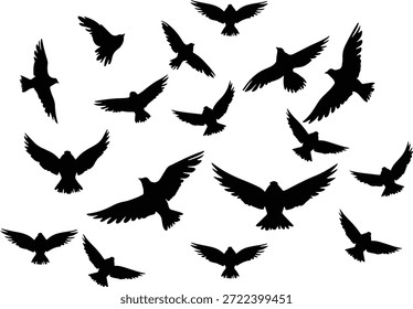 Dinámicas siluetas negras de cuervos o cuervos en diferentes poses de vuelo, aisladas en blanco para temas de naturaleza oscura.
