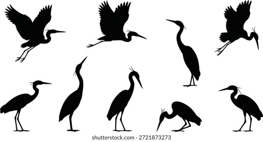 Dinámicas siluetas negras de elegantes aves garza capturadas en diferentes acciones como volar, pararse y pescar, aisladas en blanco.