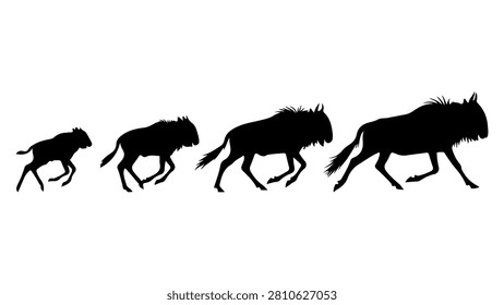 Dynamic black silhouettes of four horses running in a sequence, capturing movement and energy in a minimalist style.